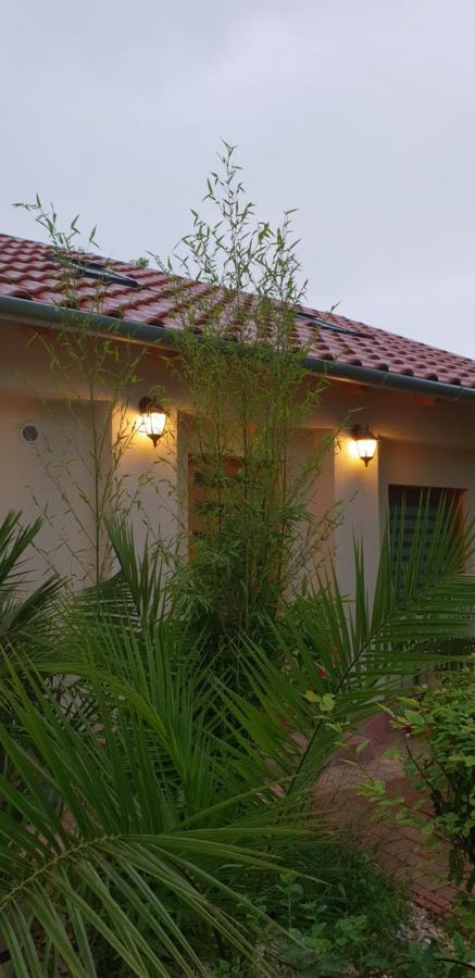 Fuered Deluxe Garden Apartment Balatonfured Exterior photo